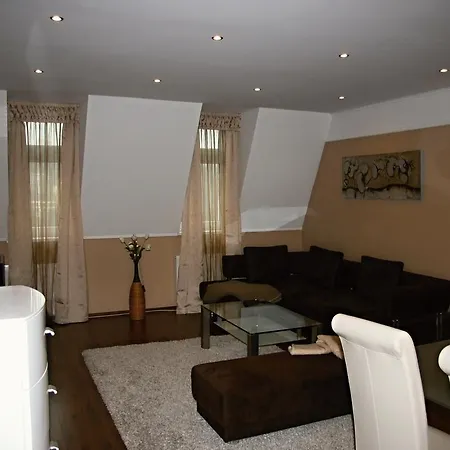 Apartment Dr. Engla Karlovy Vary
